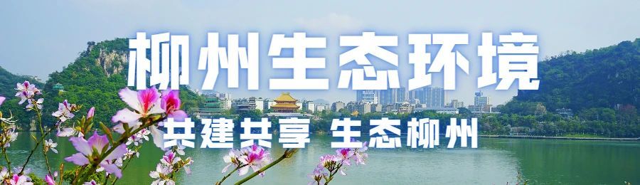 张壮到柳城县督导生态环境保护问题整治工作