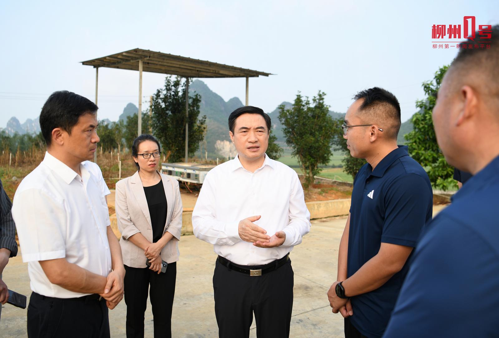 刘胜友到柳城县调研督导生态环境保护工作