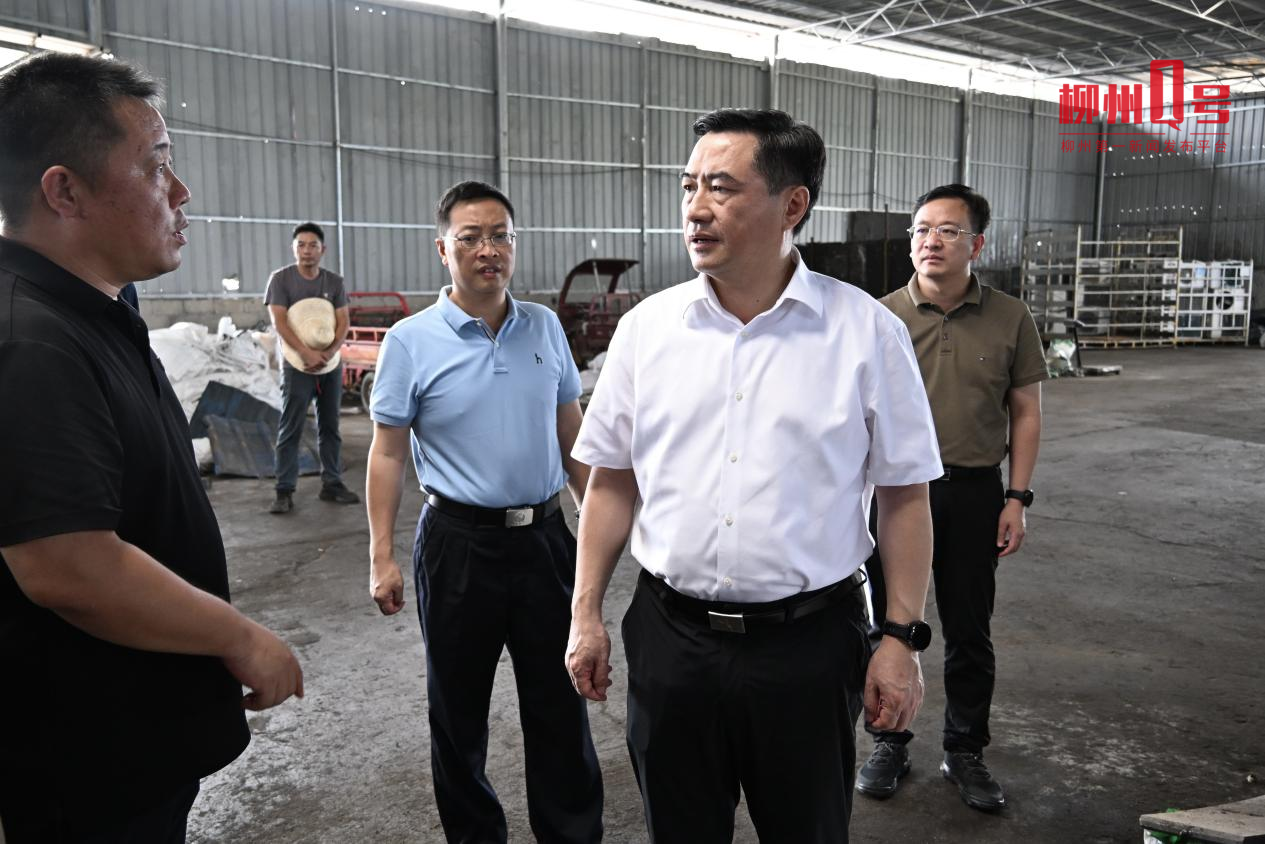 刘胜友到柳南区督导中央生态环境保护督察交办信访事项核查处置工作