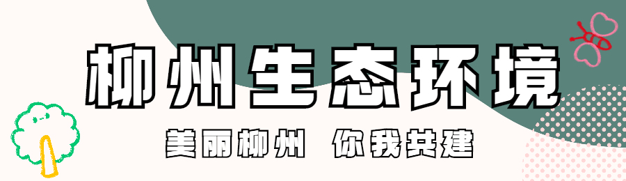 县区动态 | 学法明规严管理 聚力整治促规范：北部生态新区召开工业固体废物管理专项整治动员部署会